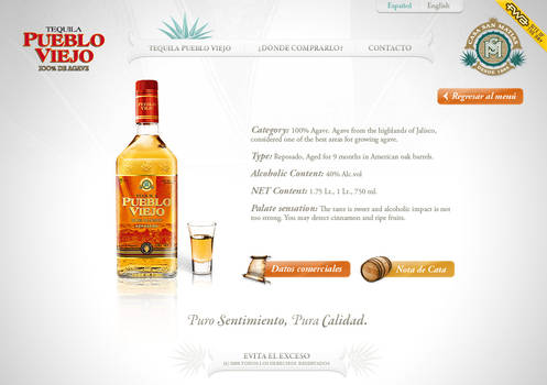 pueblo viejo webdesign 2