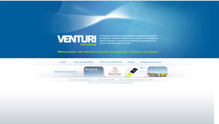 ventury consulting webdesign