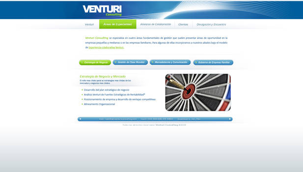 ventury consulting webdesign 2