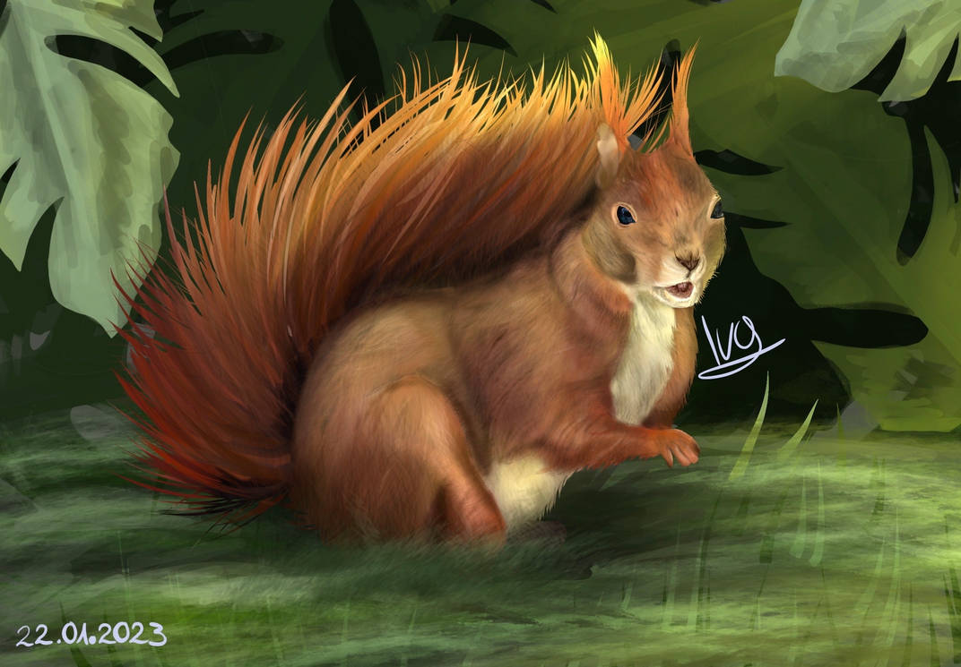 Deviantart Risumon Squirrel Squirrel by IvyArtStorm on DeviantArt