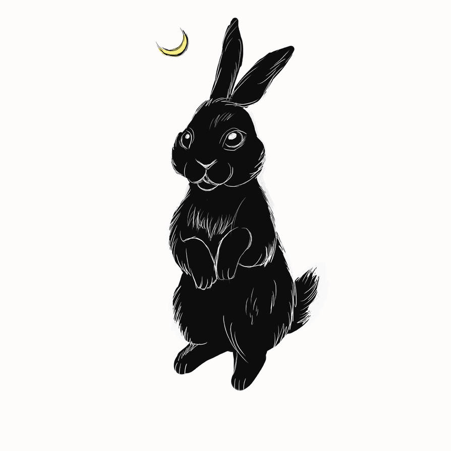 The black rabbit by AmoDolls on DeviantArt