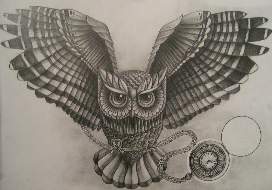 Owl