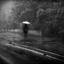 a rainy day and the loneliness