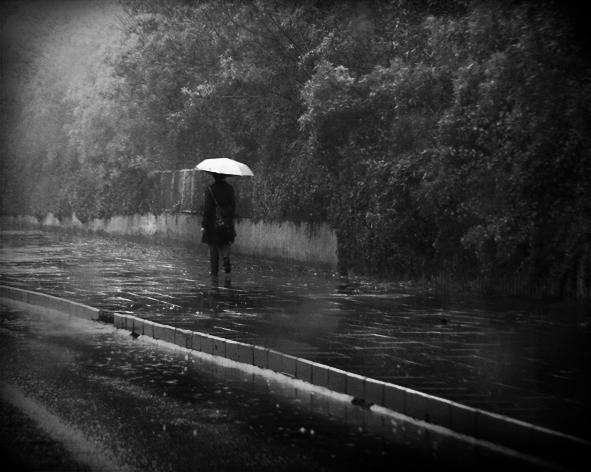 a rainy day and the loneliness by hidlight a rainy day and the loneliness by hidlight