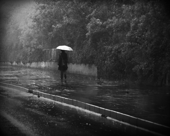 a rainy day and the loneliness