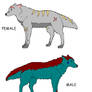 Colored Wolves