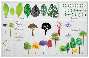 Plant Brush pack v1 Vector Brushes for Illustrator