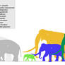 Proboscideans of the Late Pleistocene
