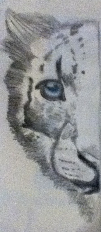 half of a snow leopard