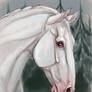 White Horse