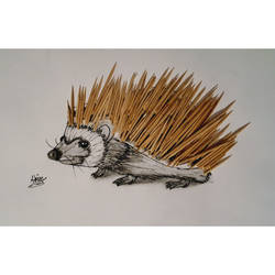 The hedgehog