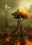 Nature asks for help by alanleal22 Nature asks for help by alanleal22