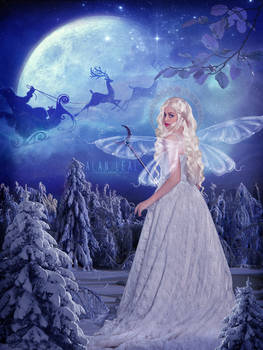 Fairy of the Christmas