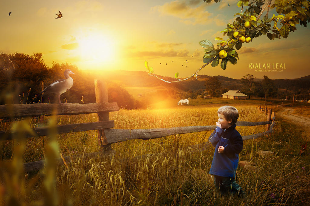 Holiday on the farm by alanleal22 Holiday on the farm by alanleal22