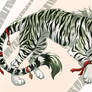 Birch Tiger Adoptable OTA open