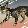 Sneak Hunter Cat Adoptable OTA open