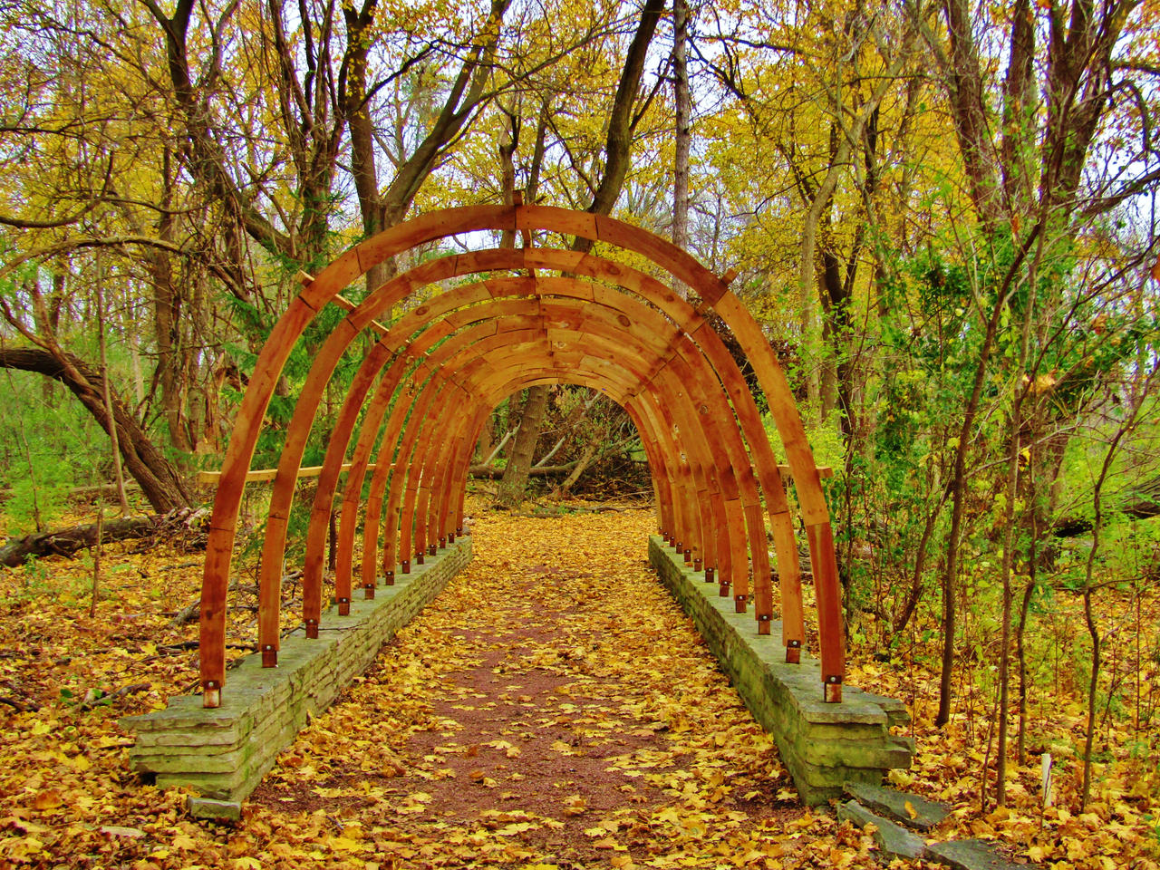 The Trellis in the Woods