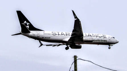 Copa Airlines Star Alliance Livery