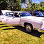 Vintage Stretch Limo Lincoln
