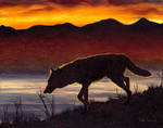 The Wolf in Twilight