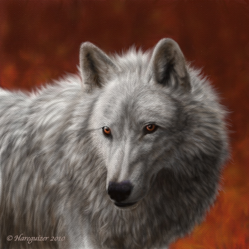 White Wolf