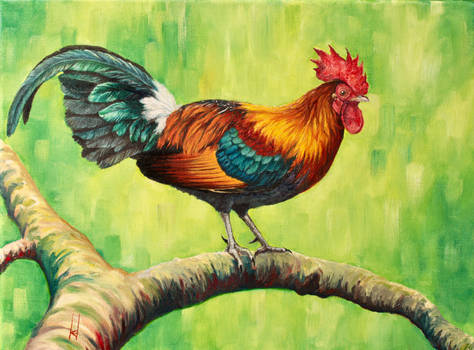 Red Jungle Fowl (Gallus gallus)