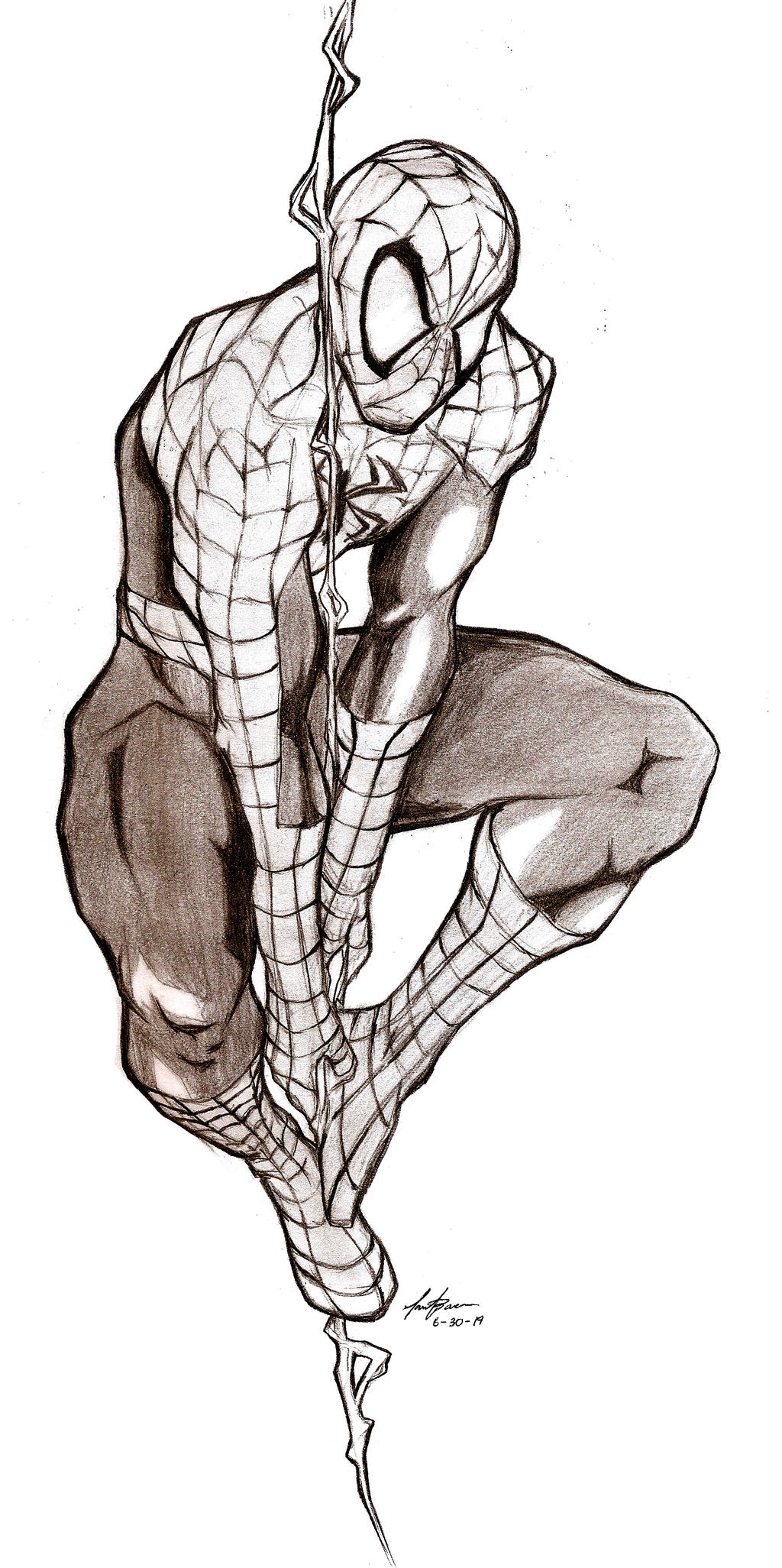 Spider-man in web