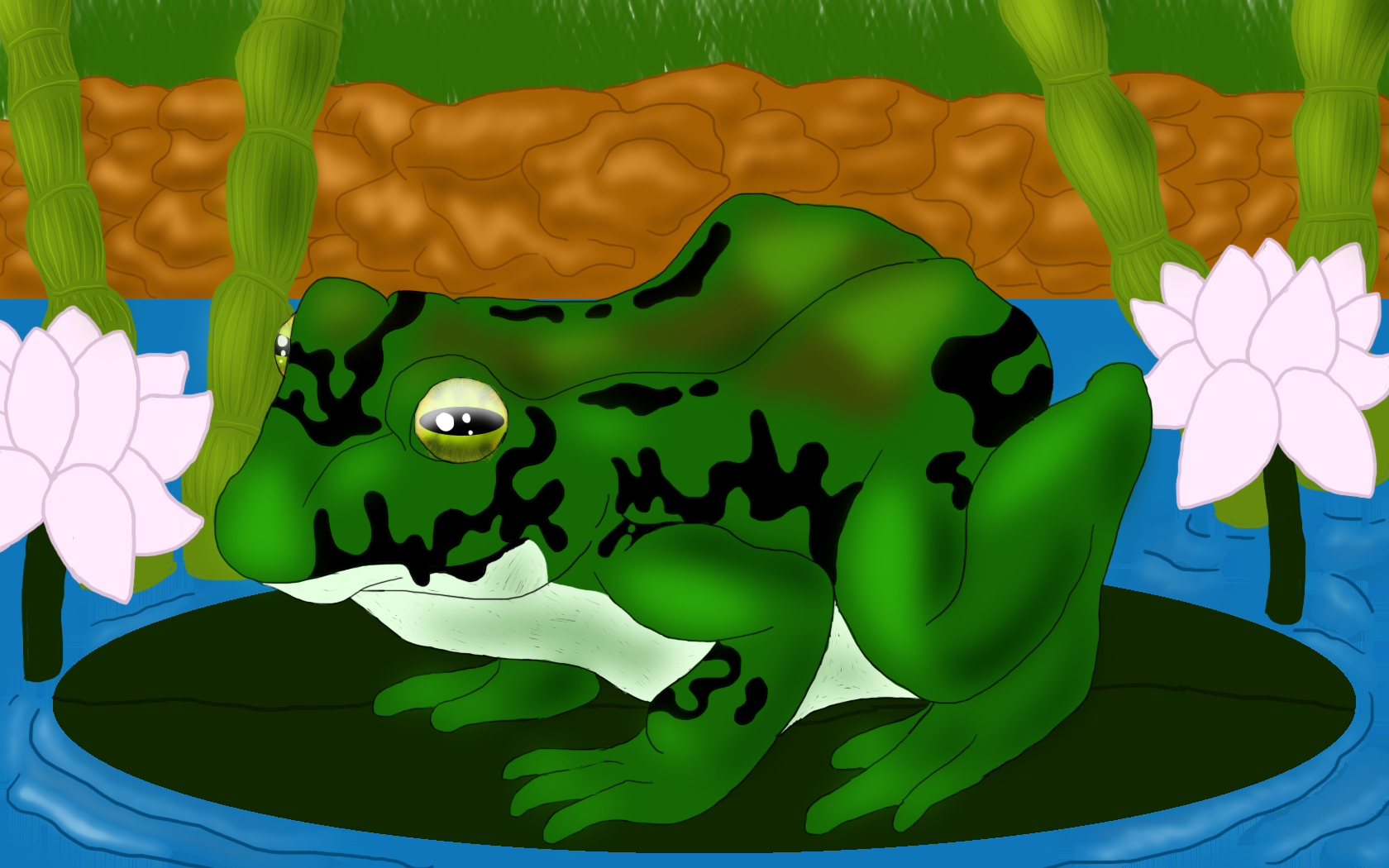 Frog in Pool