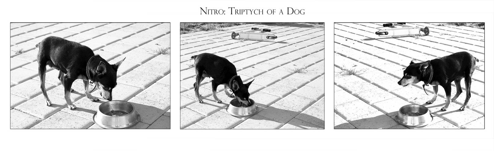 Nitro: Experimental Triptych