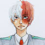 Shoto Todoroki