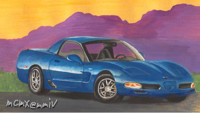 desert bluebell vette