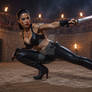 Blade: Blood and Steel Colection - 6 pics
