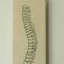 Stitched Spine