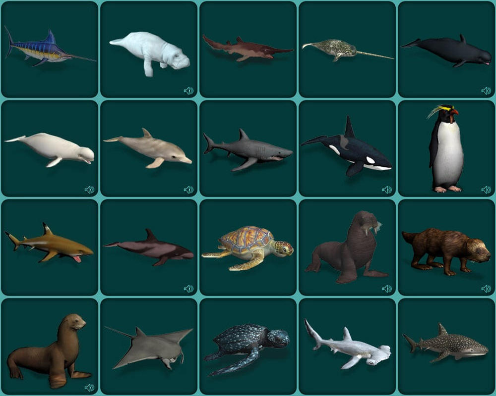Zoo Tycoon 2 Marine Mania Animals Details By ReynaldoOktaviano On zoo-tycoon-2-marine-mania-animals-details-by-reynaldooktaviano-on