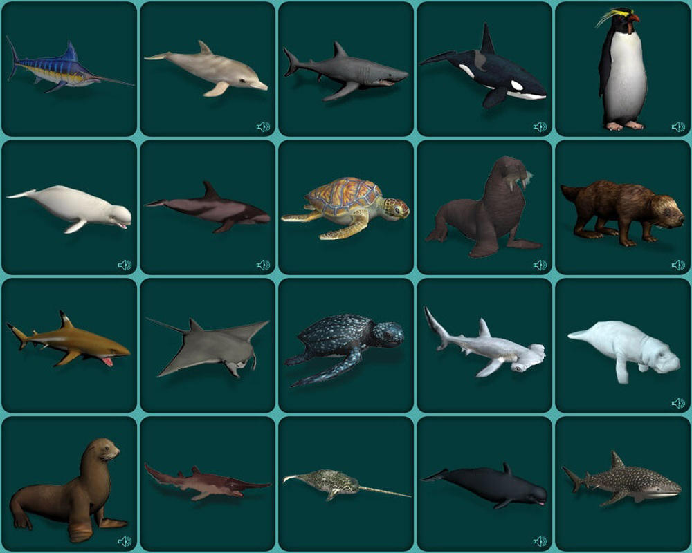 Zoo Tycoon 2 Marine Mania Animals Details by ReynaldoOktaviano on