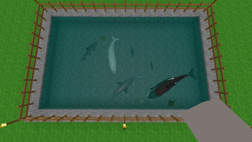 Survivalcraft All Aquatic Animals by ReynaldoOktaviano on DeviantArt