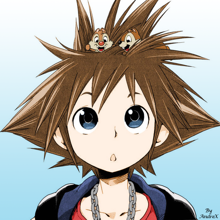 Sora coloured