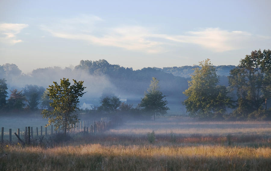 Morning Fog on the Field