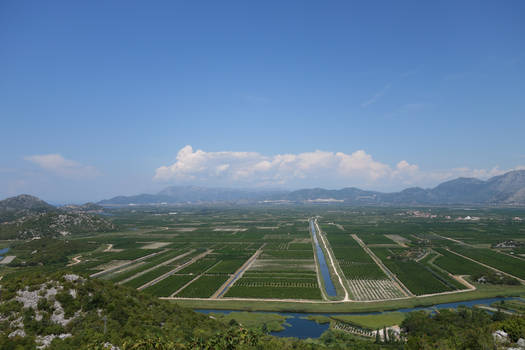 Fields of Croatia