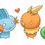 Pokemon Hoenn Starters