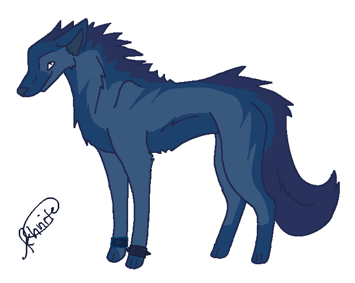 blue wolf by khnite on DeviantArt