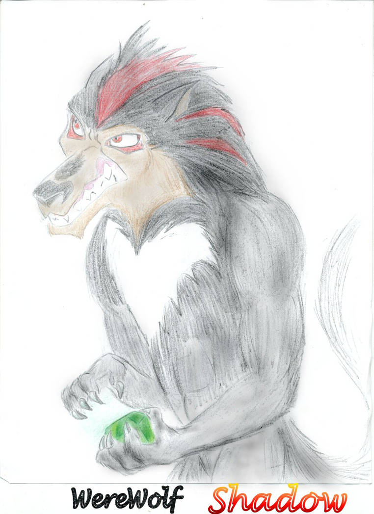 WereWolf Shadow by GreenEyedWolf on DeviantArt