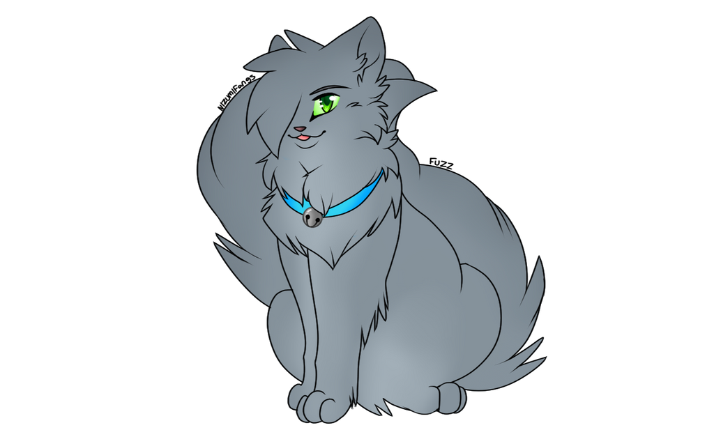 Fuzz by Nizumifangs on DeviantArt