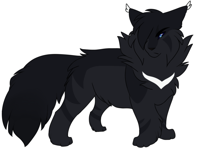 Shadowburn by Nizumifangs on DeviantArt