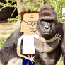 hank hill harambe memorial