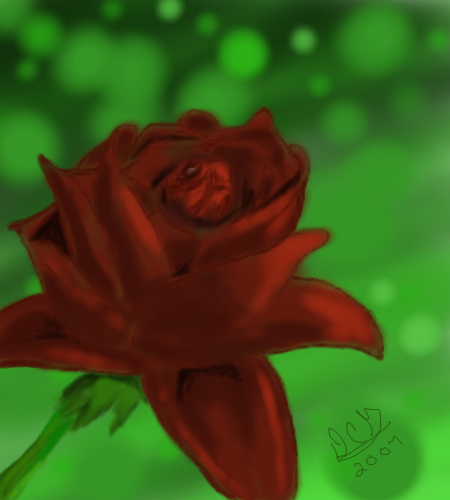 A Rose From the Secret Garden