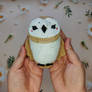 Owl toy