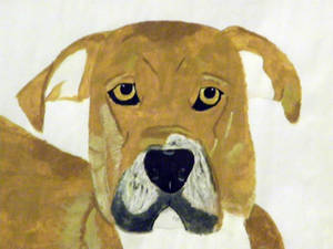 Dog Painting Hank