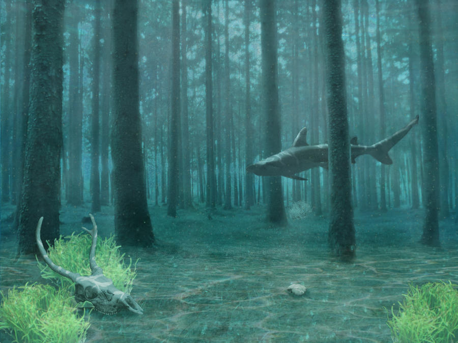 The sea forest by Kaamosrutto on DeviantArt