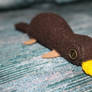 Platypus